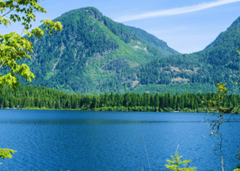 Incompetent governance led to Cowichan decision chaos: Karen Restoule in the Times Colonist