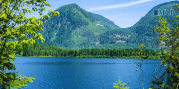 Incompetent governance led to Cowichan decision chaos: Karen Restoule in the Times Colonist