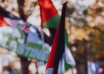 Stop trivializing the use of ‘genocide’: Harry LaForme in The Hub