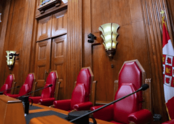 court image