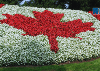 Time to reform the Order of Canada?