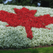 Time to reform the Order of Canada?: Jean-Guy Forgeron in The Hill Times