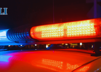Justice delayed – Nearly 60% of violent crime cases are stayed or withdrawn in Canada: Dave Snow in The Hub