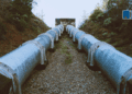 Trans Mountain proves the business case for a West Coast pipeline: Heather Exner-Pirot in The Hub