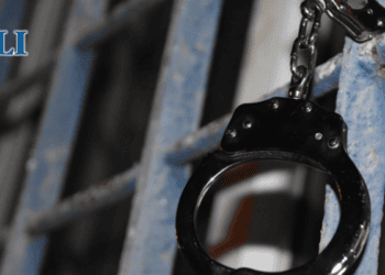 Why Canadian courts are striking down mandatory minimum sentences for some of the worst crimes imaginable: Christine Van Geyn in The Hub